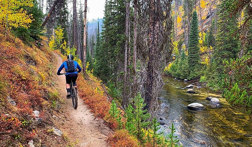 Man mountain biking on the trail to Loon Lake in McCall, Idaho.