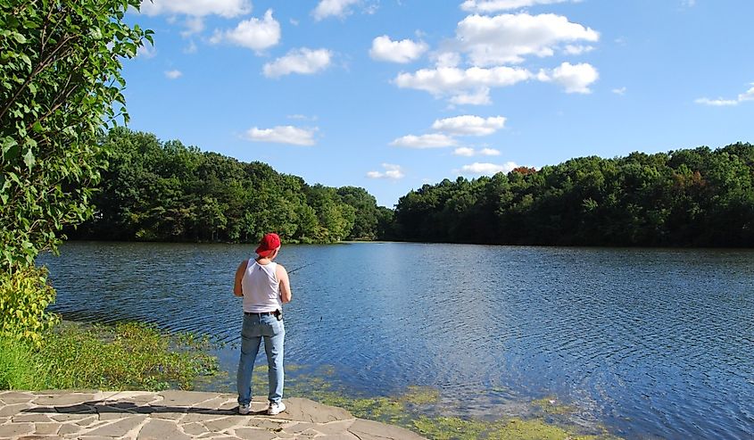 Man Fishing at Greenbelt Park in Maryland.