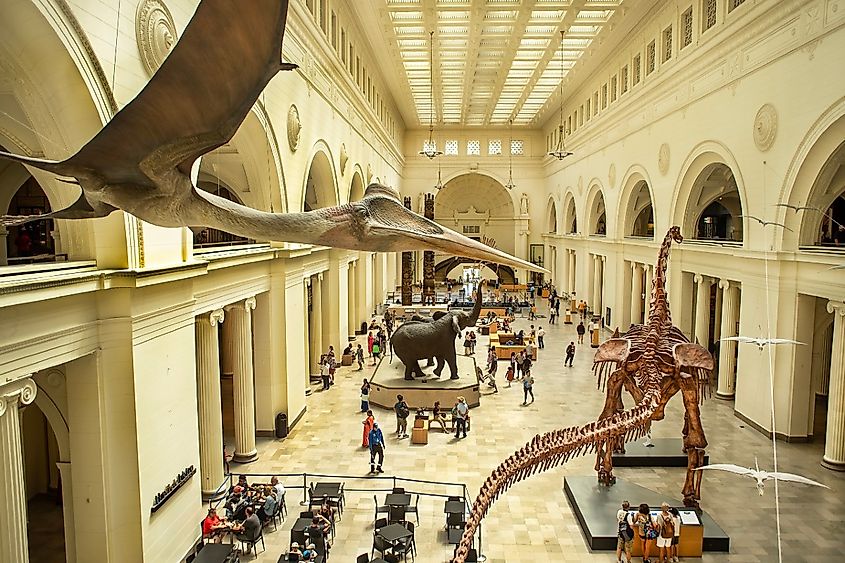 Field Museum of Natural History in Chicago, Illinois.