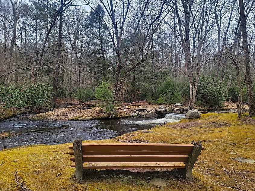 A nature trail in Skytop, Pennsylvania.