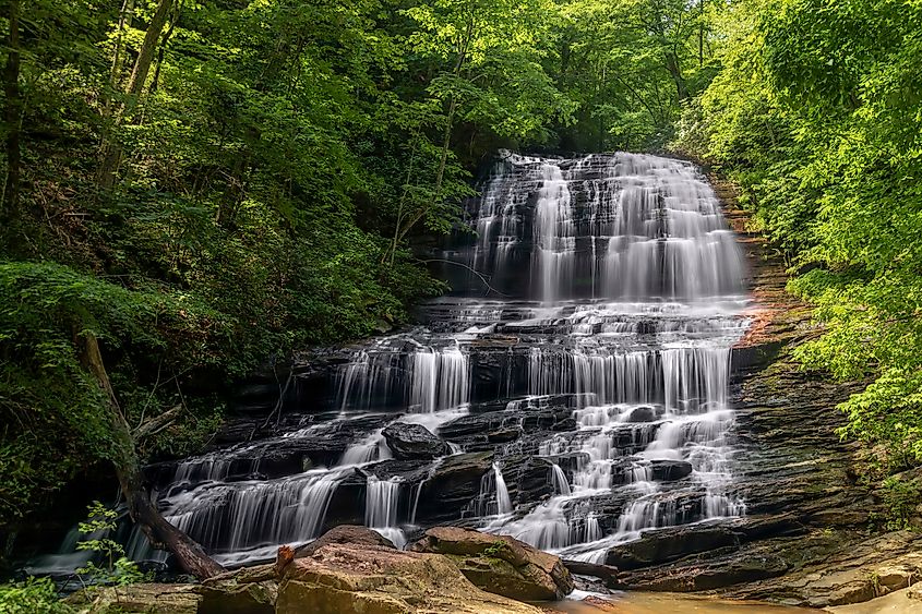 Pearson's Falls is a beautiful 90 foot waterfall on Colt Creek in the foothills of Western North Carolina between Tryon and Saluda.