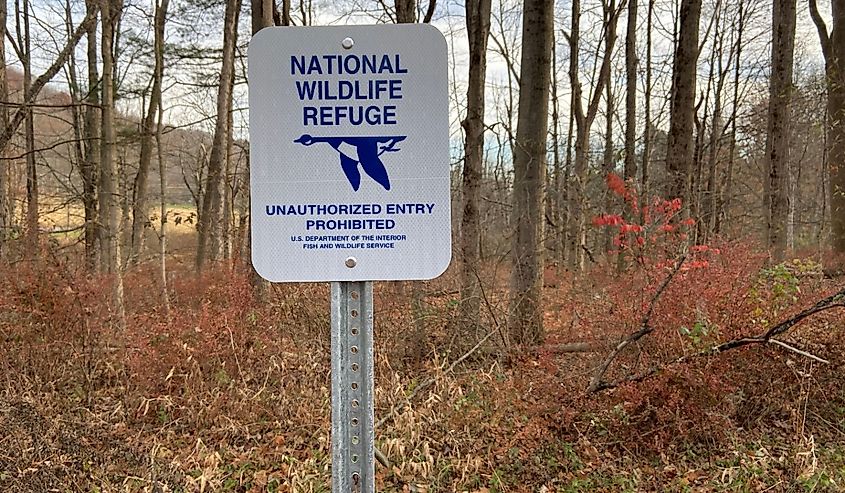 "National Wildlife Refuge Unauthorized Entry Prohibited" sign with an image of a flying goose in front of a forest in rural Pennsylvania, USA