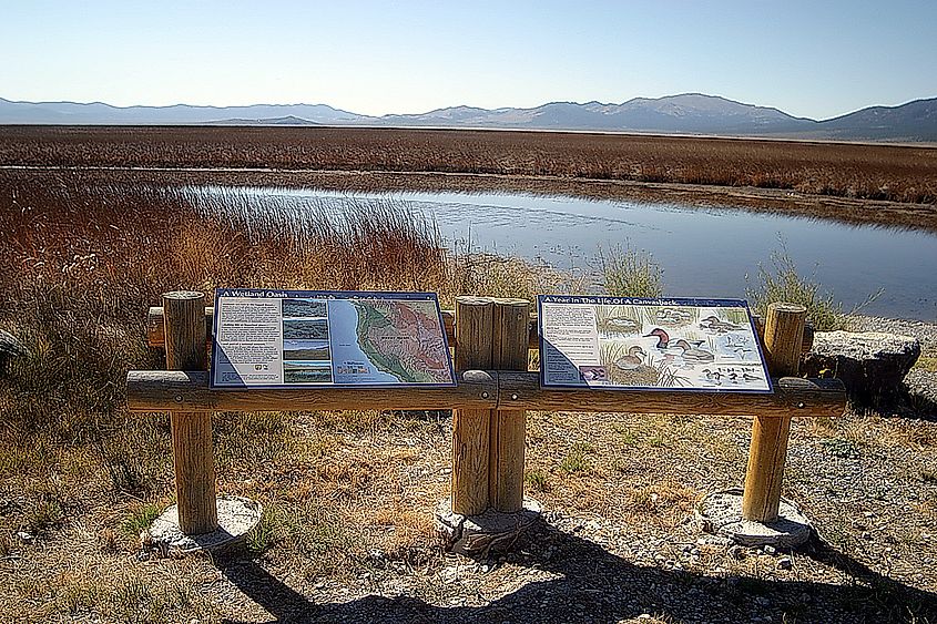 Ruby Lake National Wildlife Refuge signs about the place and the wildlife that lives there.