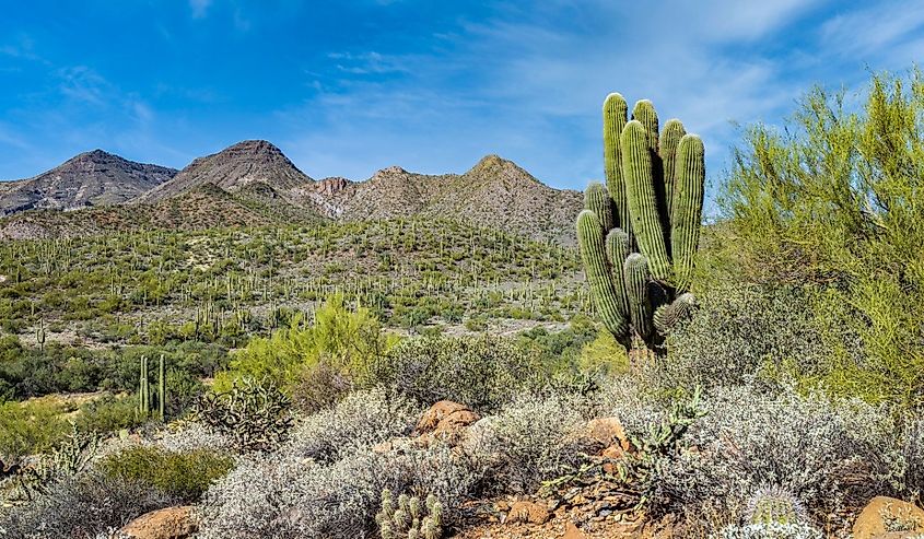 Spur Cross Ranch, Cave Creek, Arizona.