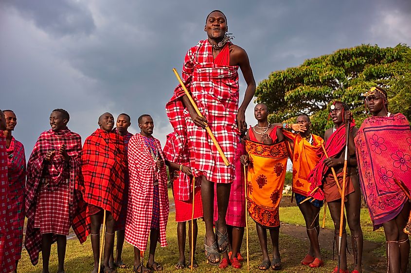 The culture of the Maasai people is closely linked to lions