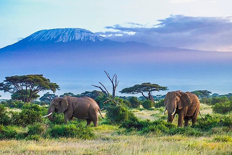 Highest Mountains In Tanzania Worldatlas