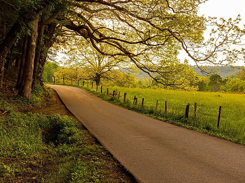 The Cade's Cove Loop in Townsend, Tennessee.