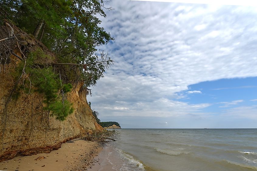 Calvert Cliffs on the western shores of the Chesapeake Bay in southern Maryland, known for Miocene era fossils