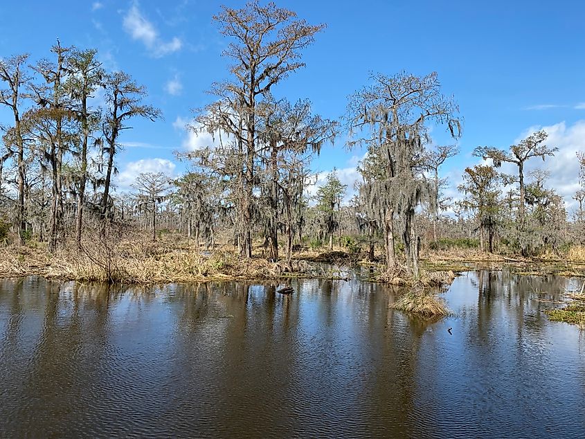 Barataria Preserve in the Jean Lafitte National Historical Park and Preserve in Louisiana.