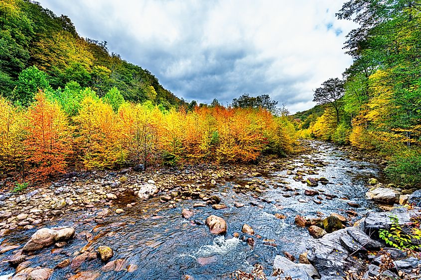 Flowing water at Red Creek in Dolly Sods Wilderness in West Virginia.