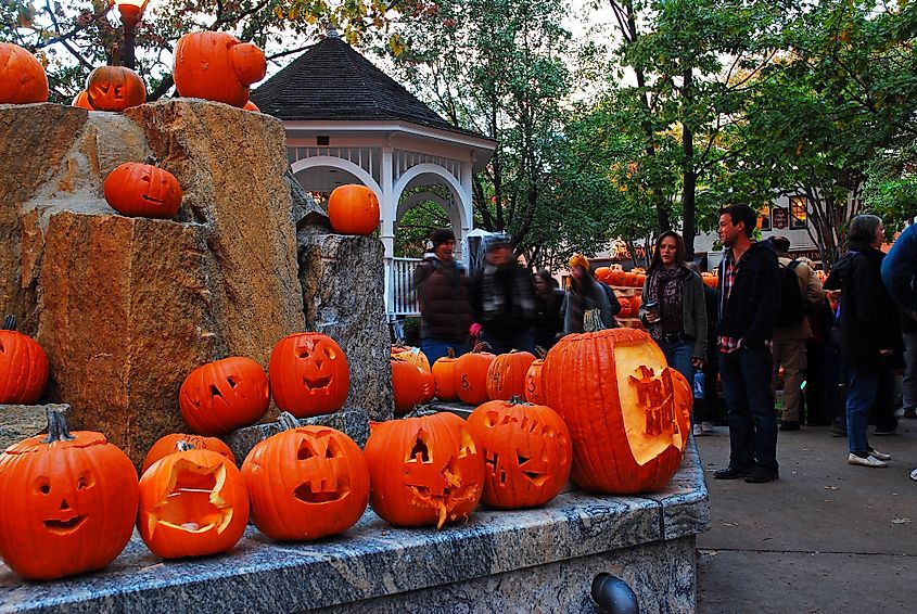 Pumpkins for a festival in Keene, New Hampshire.