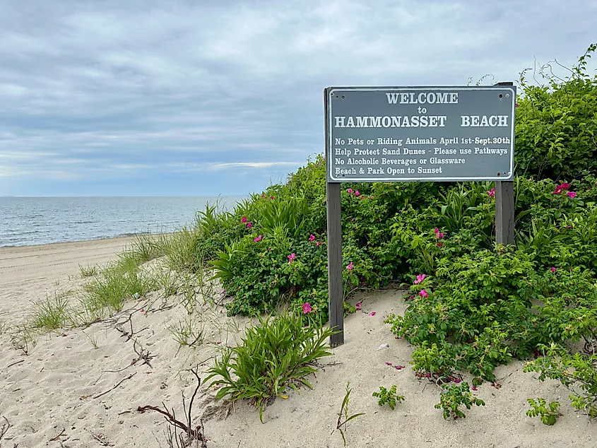 Sign for Hammonasset Beach State Park in Madison, Connecticut