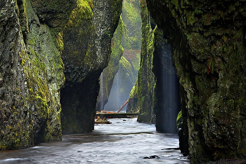 Oneonta Gorge