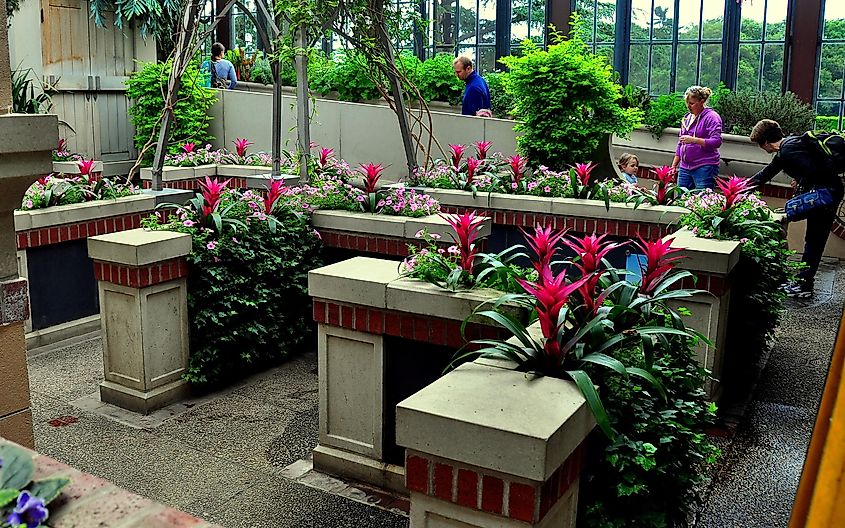 Pink Petunias and red Bromeliads add colour to the imaginative Children's Garden at Longwood Gardens in Kennett Square, Pennsylvania.