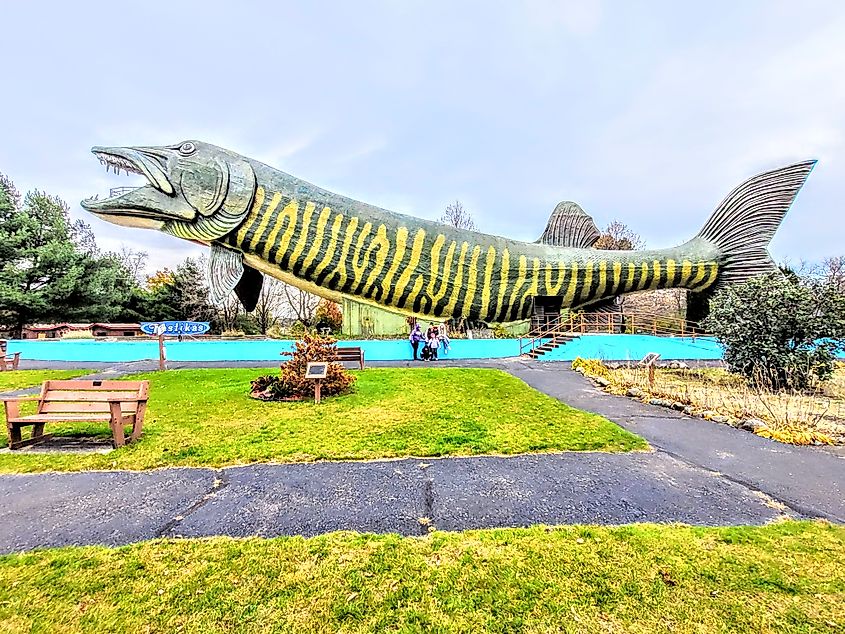 A Musky statue in Hayward, Wisconsin.