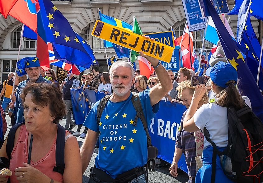 An anti-Brexit protester in London, 2023. Image credit Andy Soloman via Shutterstock.