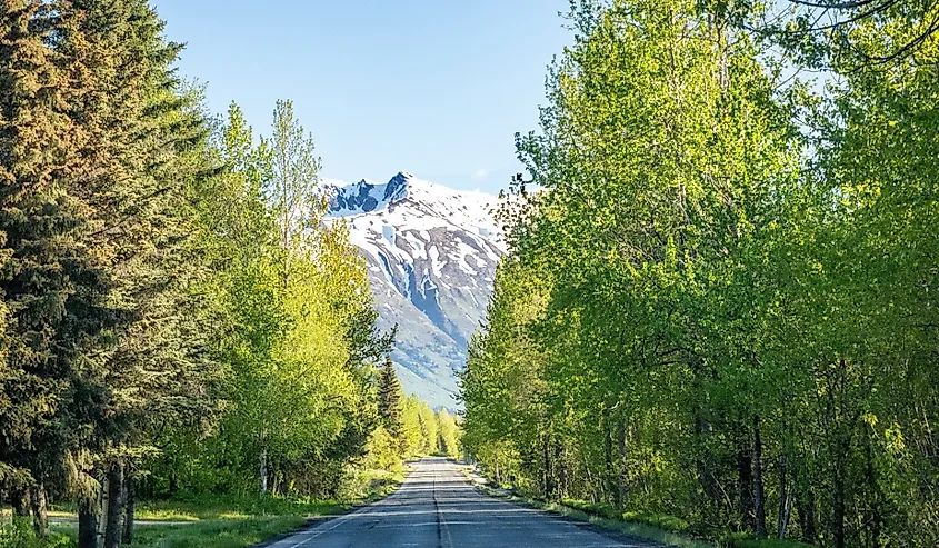 Seward Highway cuts through the Kenai Peninsula, with Chugach National Forest and the Kenai Mountains rising beyond.