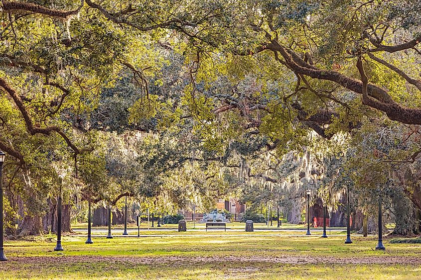 Overcast landscape of the Audubon Park at Louisiana.