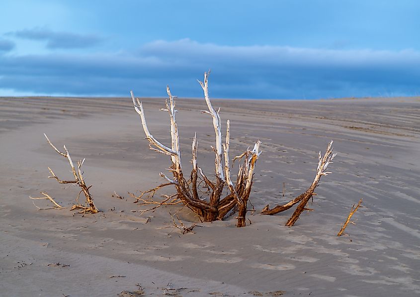 St. Anthony Sand Dunes