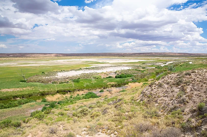 Bitter Lake National Wildlife Refuge in New Mexico