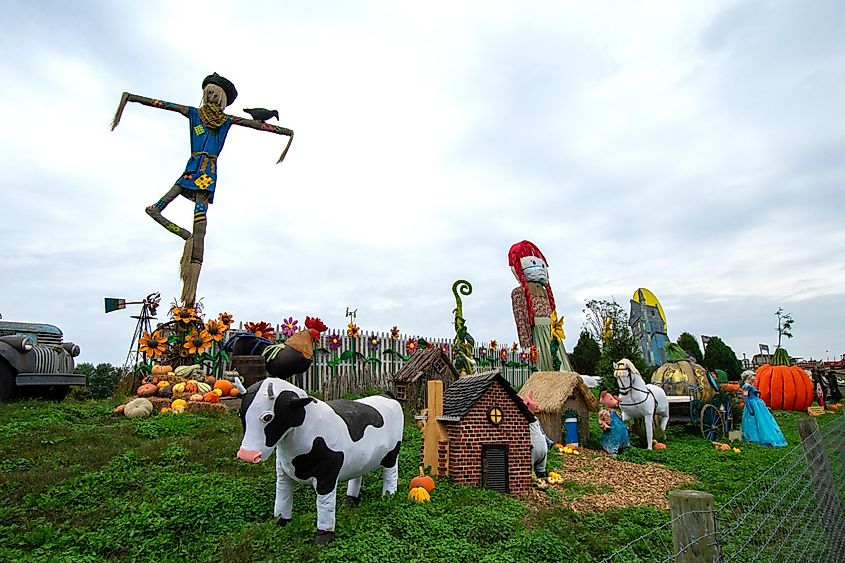 The Pumpkinland Display at Linvilla Orchards in Media to celebrate fall