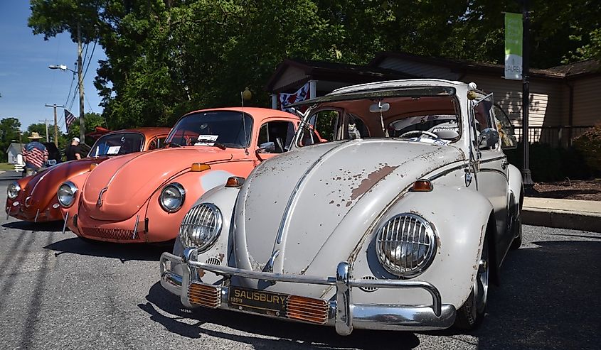 Three Volkswagen VW Beetles line up on display along the street at Laurel Delaware's annual car show event