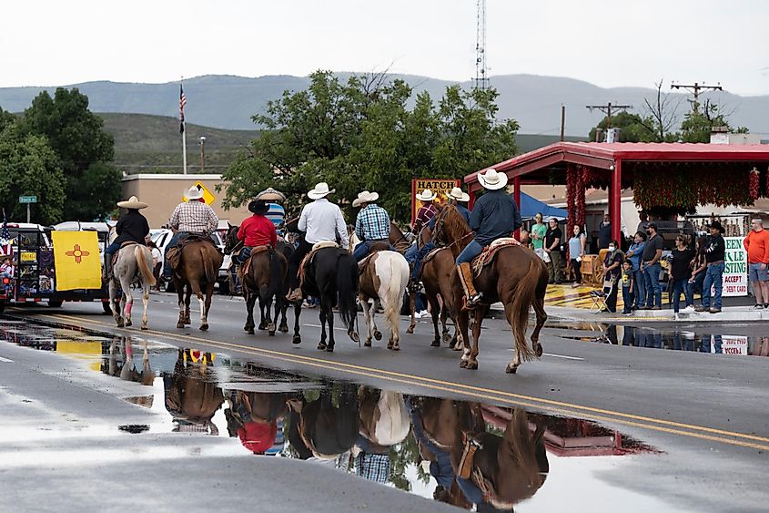 Hatch, New Mexico: Local Farm and Ranch Workers on Horses at Hatch Chile Festival Parade.