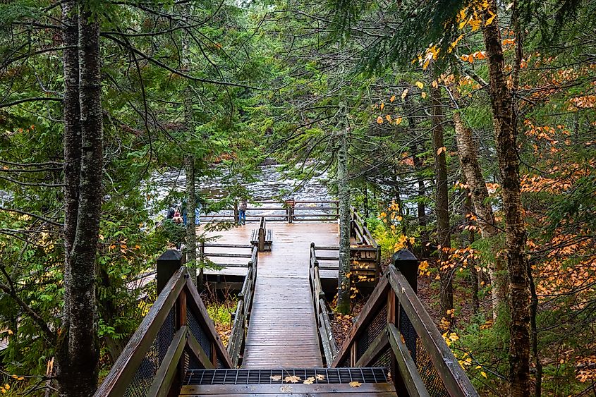 Walkway in the forests of Tahquamenon Falls State Park in Michigan.