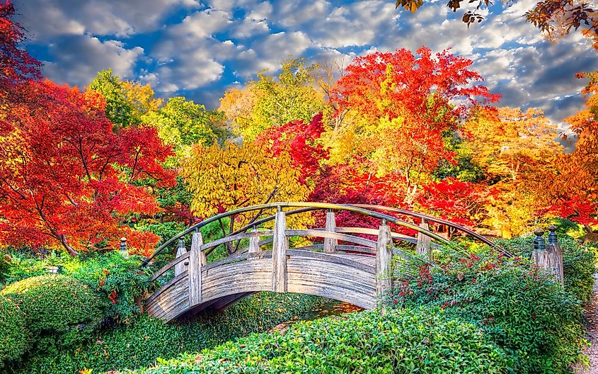 Japanese Garden in Fort Worth, Texas.