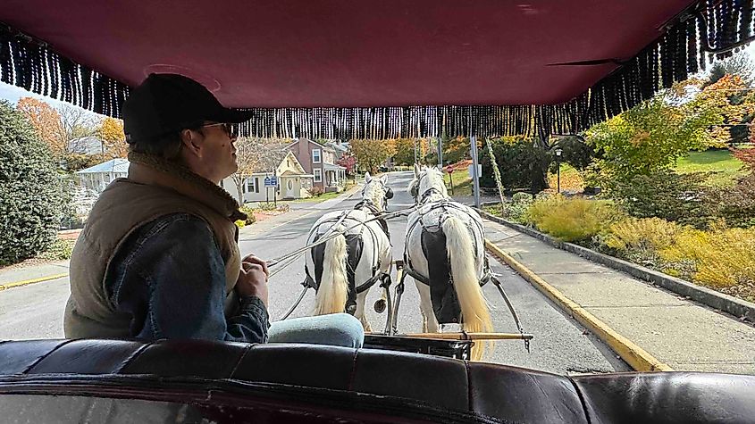 Lexington downtown by horse and buggy Photo by Bryan Dearsley