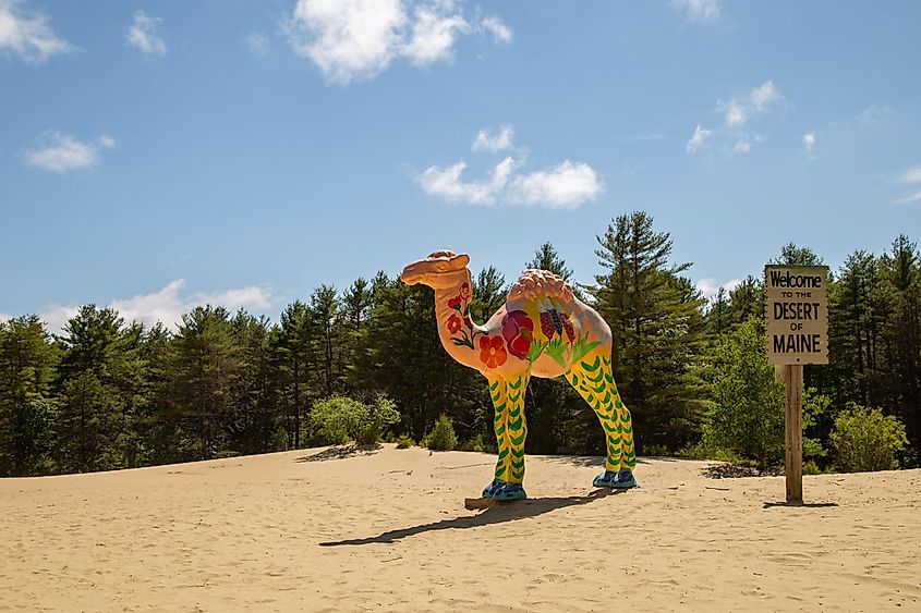 Landscape of the entrance of the desert of Maine in Freeport, Maine. Editorial credit: Angela Holmyard / Shutterstock.com