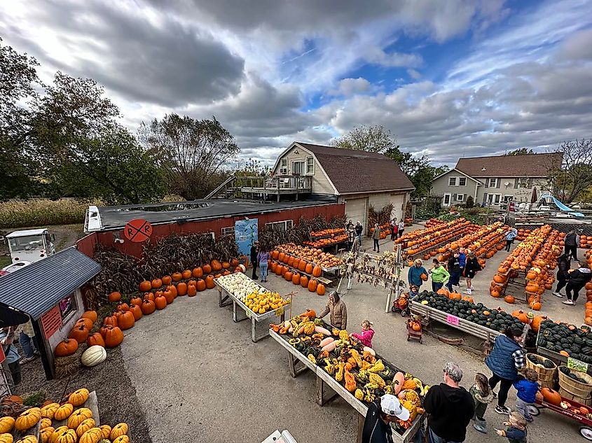 Lindner’s Pumpkin Farm in New Berlin