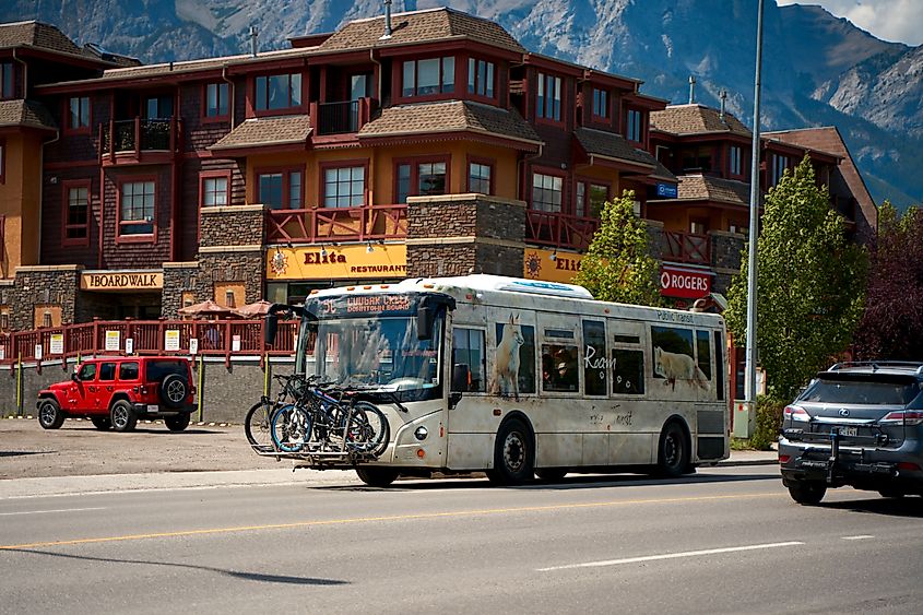 Tourist bust in Canmore carrying bicycles