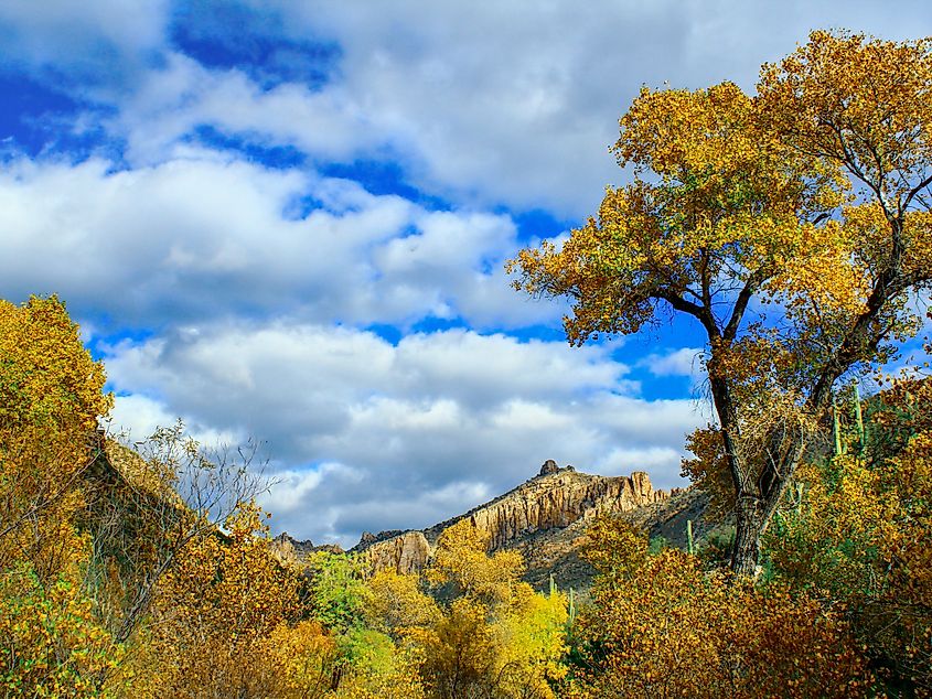 The Sonoran Desert in Autumn. Thimble Peak in the Coronado National Forest.