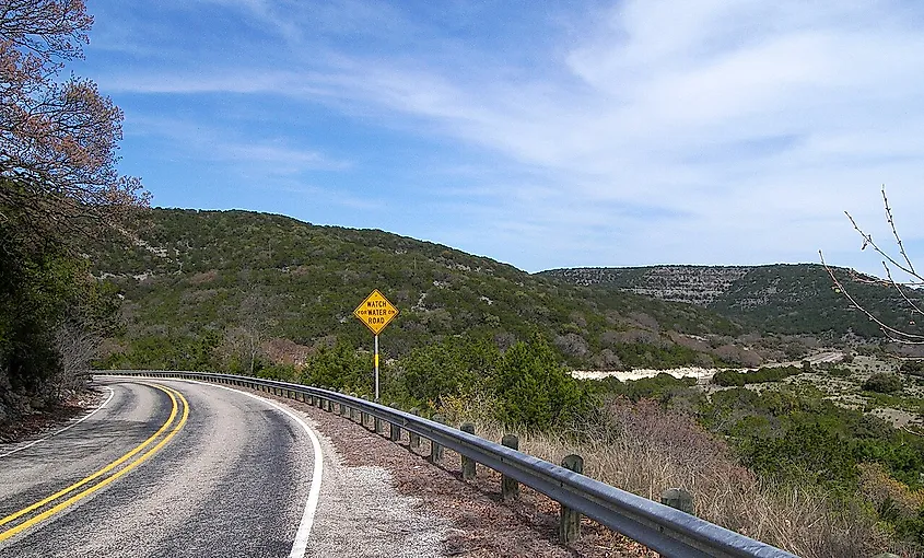 The Twisted Sisters, near Leakey, Texas.