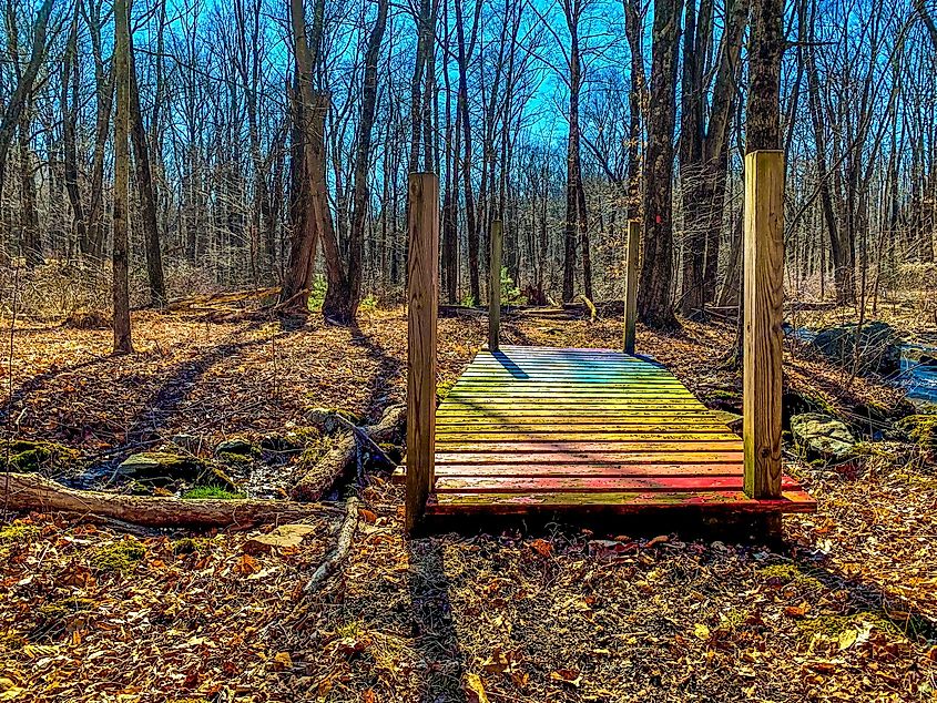 A colored wooden bridge at the trail in the late winter. Chester, New Jersey. Editorial credit: Fha Share / Shutterstock.com