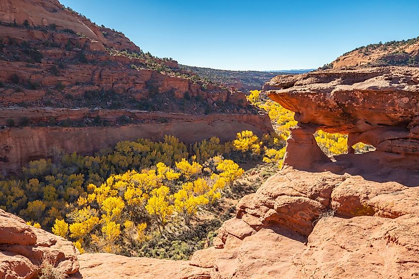 Grand Staircase-Escalante National Monument in Utah.