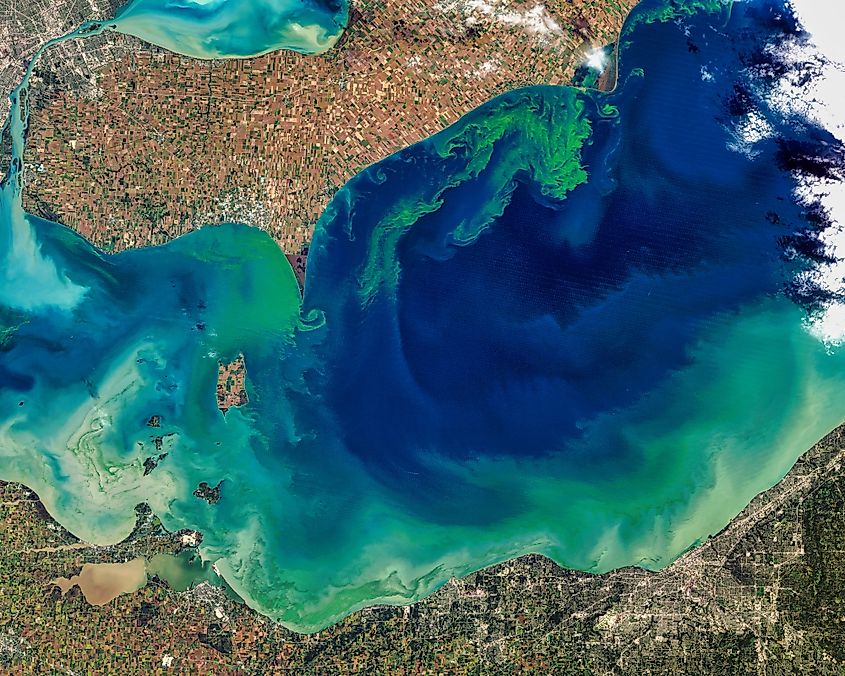 Toxic algae bloom in Lake Erie.