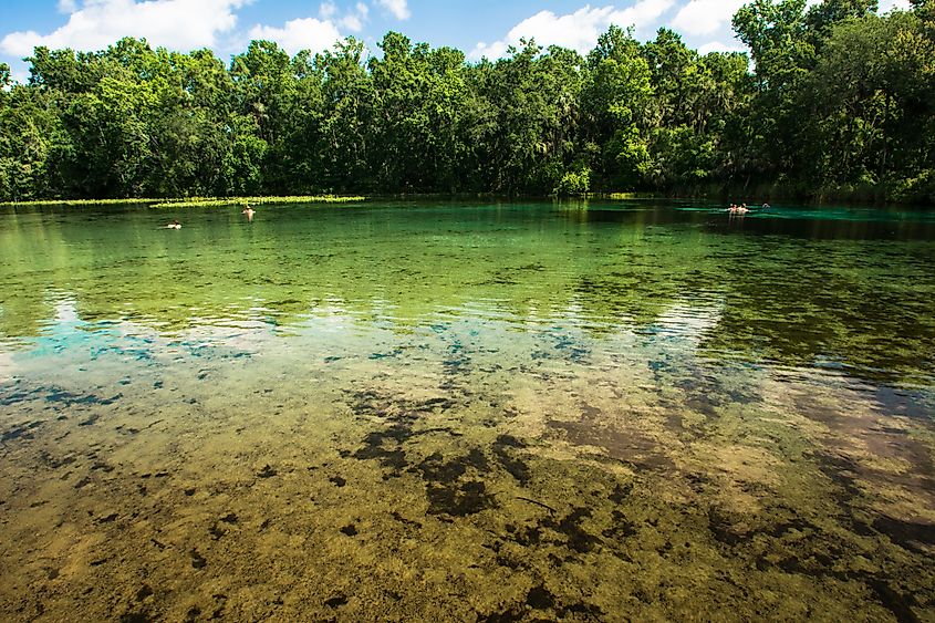 Alexander Springs, Florida.