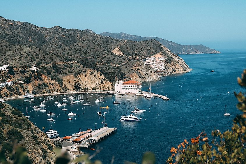 View of Catalina island during the summer.