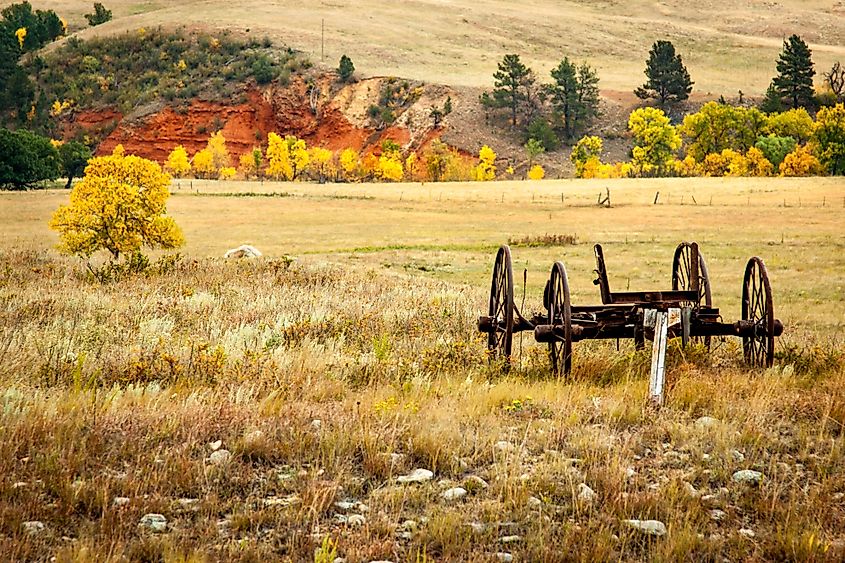 Fall foliage in Custer State Park, South Dakota.