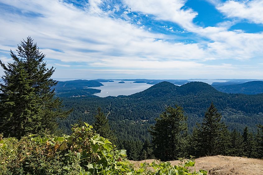 View of the Puget Sound from Moran State Park. 