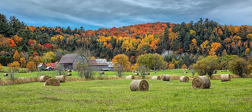 A picturesque autumn scene near Chelsea, Quebec