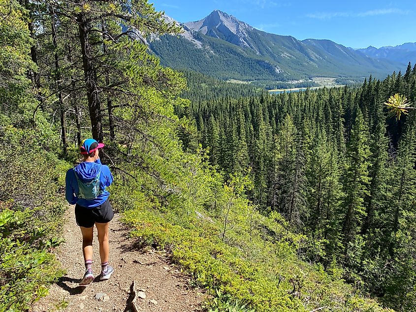 A female hiker strolls through the woods, looking towards an alpine lake and Rocky Mountain peak in the distance. 