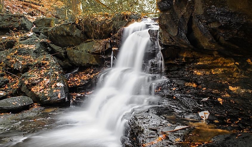 Parker Falls in Bankhead National Forest Alabama