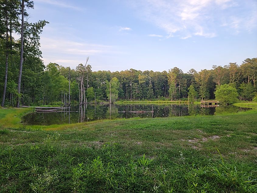 Pond in Ouachita National Forest, Arkansas.