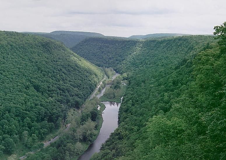 Pine Creek Gorge looking south from a West Rim Trail vista