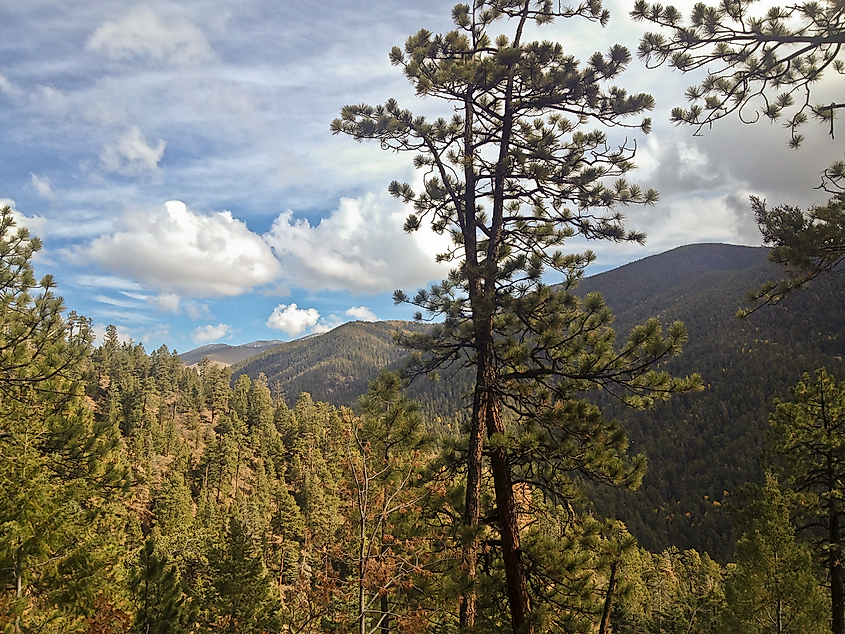 Hyde Park Trail, Sangre de Cristo Mountains, New Mexico.