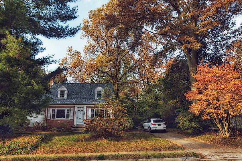 Fall colors in Newark, Delaware