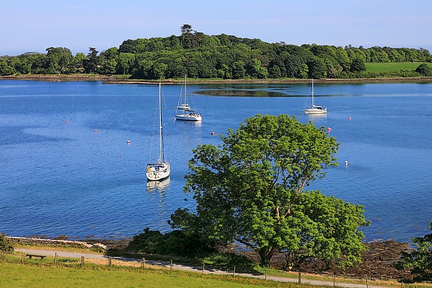 View of the Strangford Lough in Strangford, Northern Ireland.